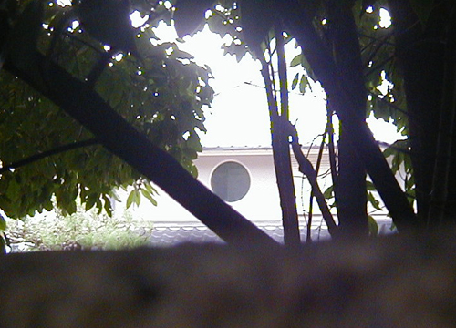 d0053294_1263287.jpg