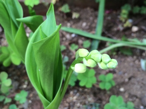 f0201297_23282613.jpg