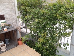 c0341398_22474556.jpg