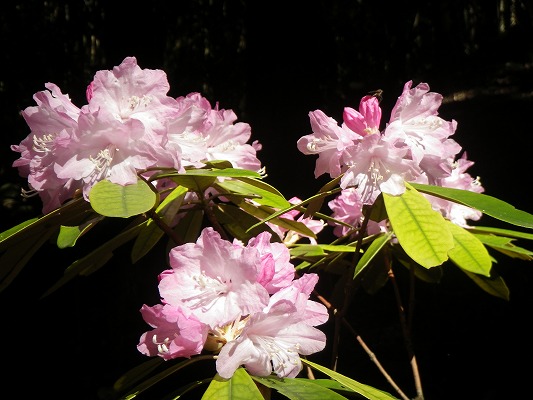 f0187402_20584862.jpg