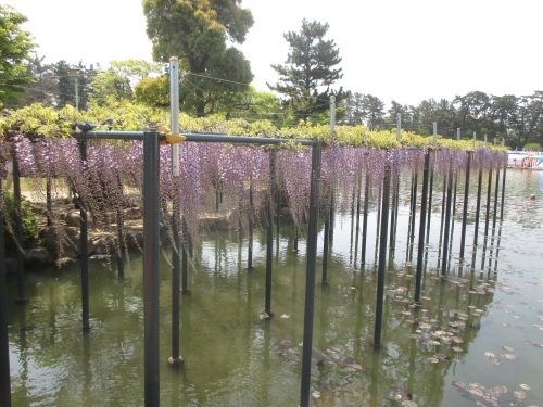 e0242504_14142932.jpg
