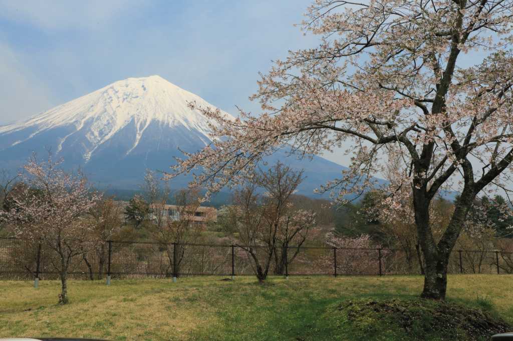 a0188405_09033288.jpg