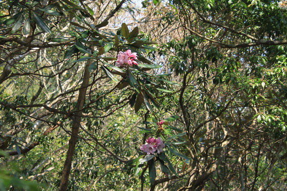 d0237309_21395483.jpg