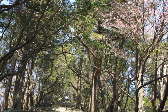 d0237309_2141589.jpg