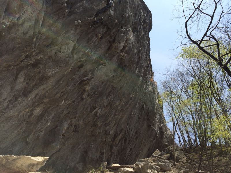 c0210618_1214177.jpg