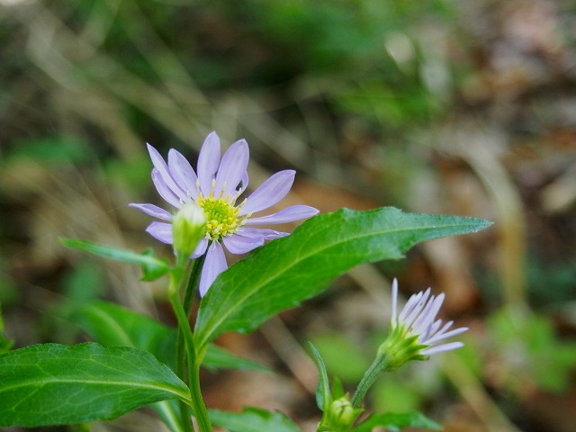 f0302024_19141552.jpg