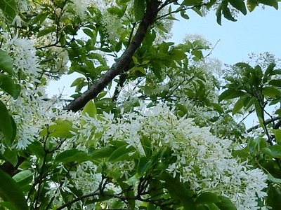 e0033229_2185335.jpg