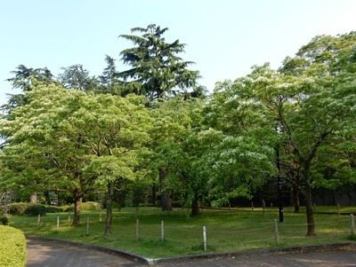 e0033229_218557.jpg