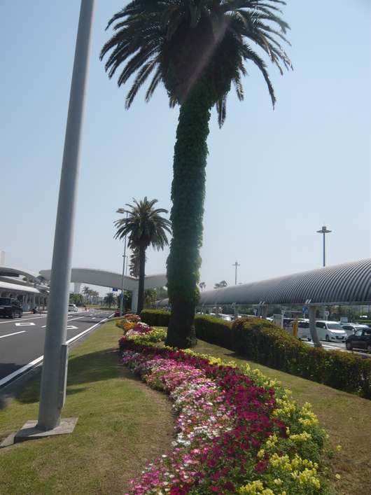 a0206332_20135590.jpg