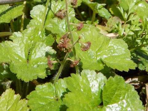 f0118332_21315995.jpg