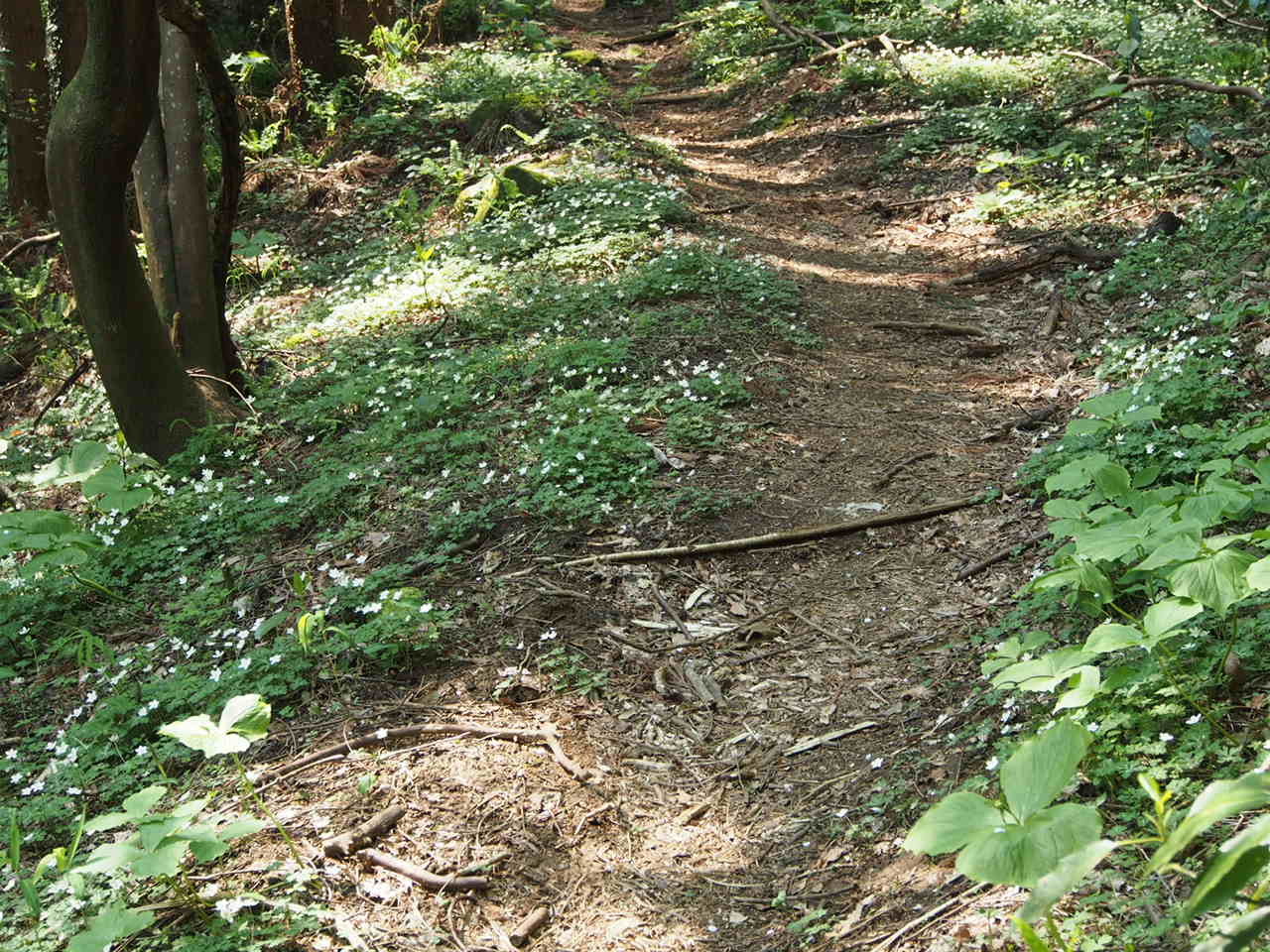 f0353034_22154301.jpg