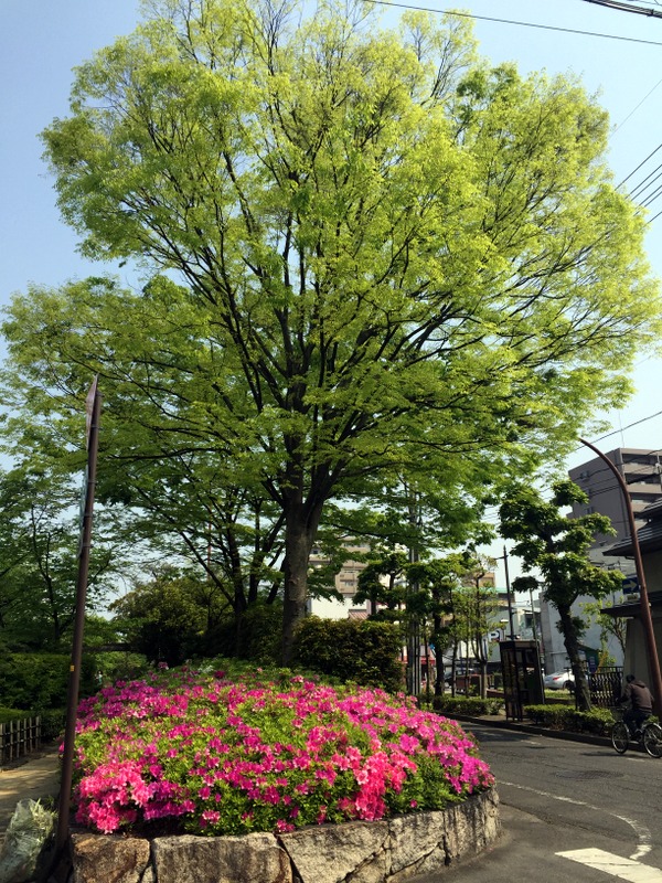 b0057140_13132061.jpg