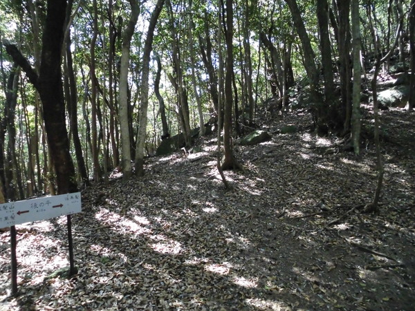 a0206345_18591215.jpg