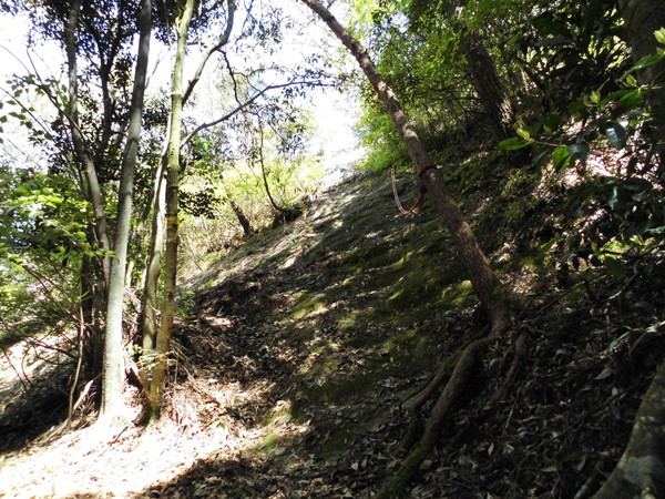 a0206345_1932568.jpg