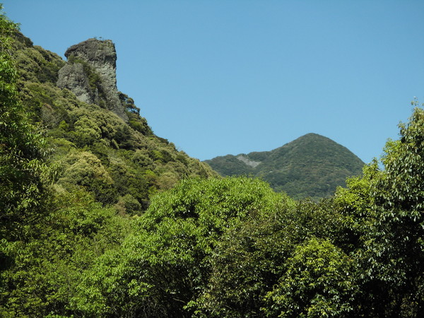 a0206345_2102848.jpg