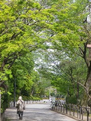 c0246847_1062995.jpg