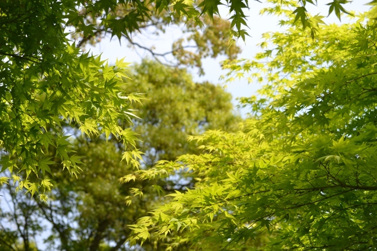 b0243152_09055576.jpg