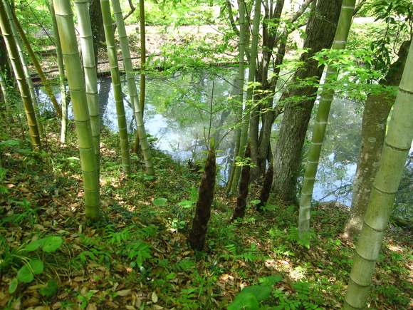 b0243152_11132963.jpg
