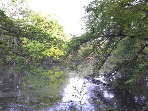 f0055956_1075821.jpg
