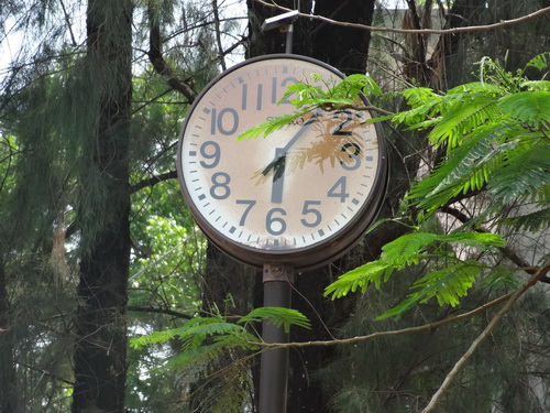 c0357964_1565470.jpg
