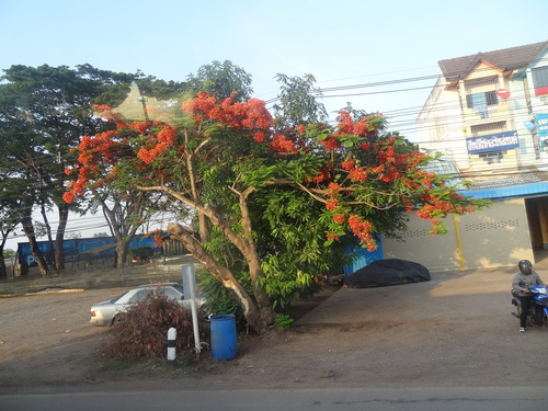c0357964_19514731.jpg