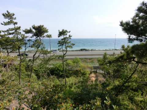 e0045768_17224418.jpg