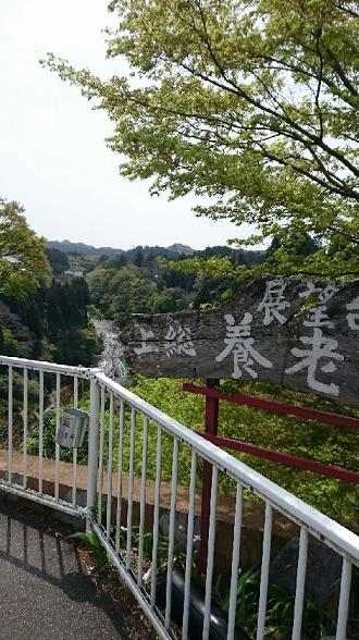 f0036269_2216016.jpg