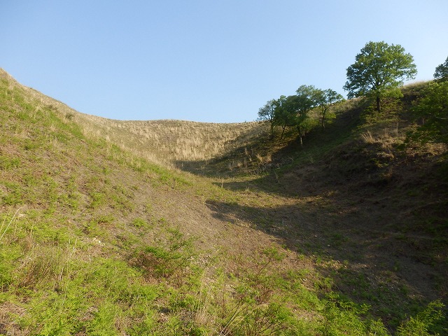 f0057070_20334726.jpg