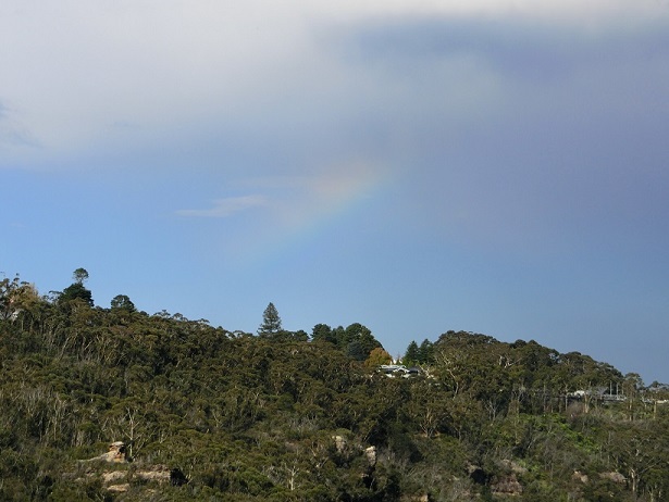 d0147774_2331148.jpg