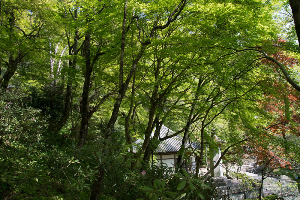 a0301676_16403138.jpg