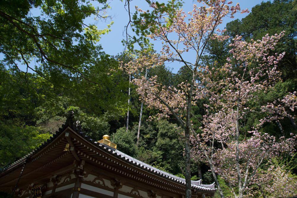 a0301676_16405093.jpg