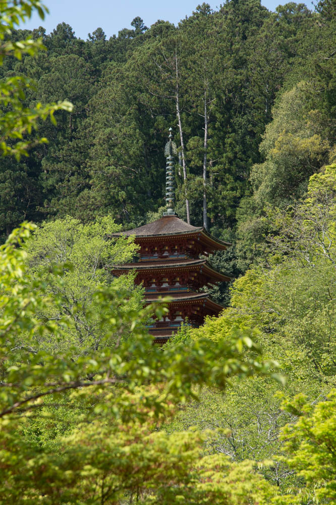 a0301676_16410374.jpg