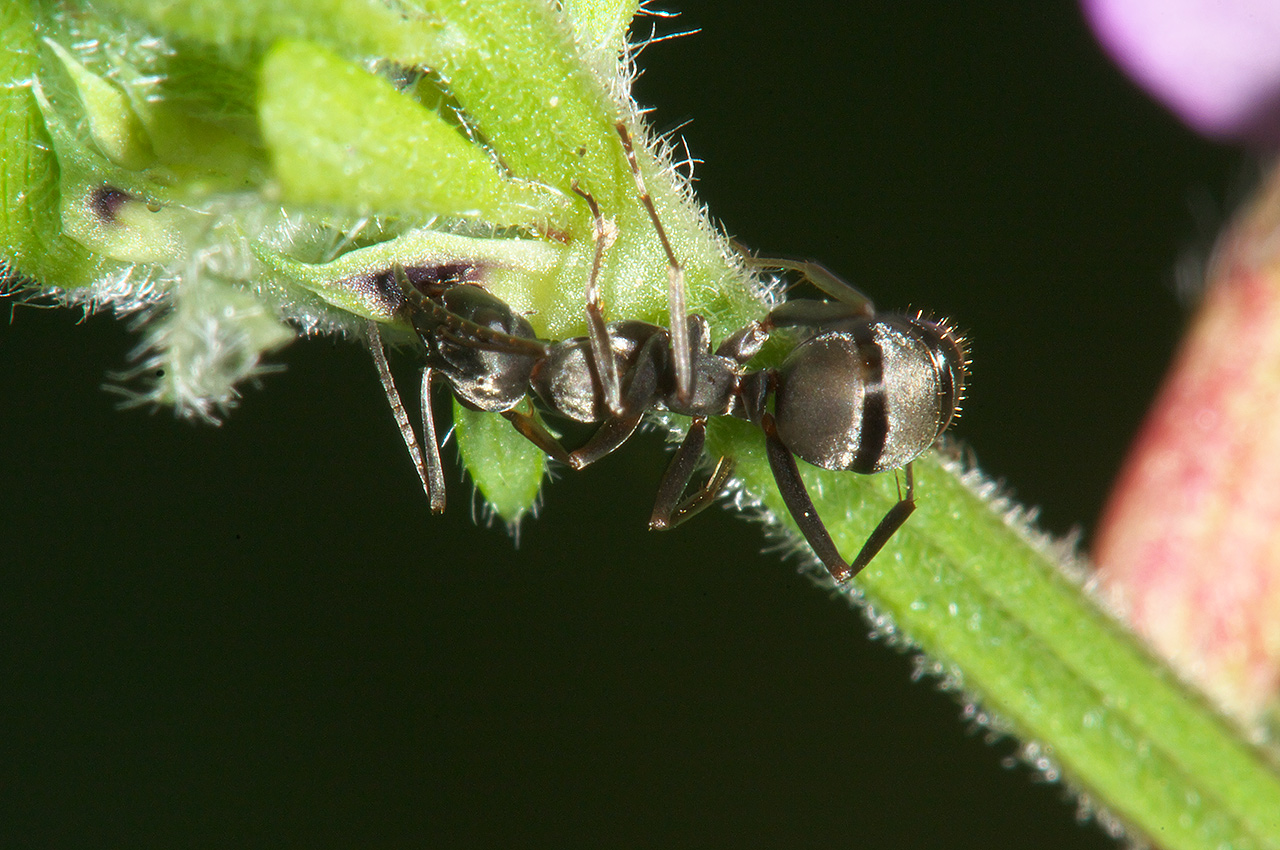 d0146295_210854.jpg