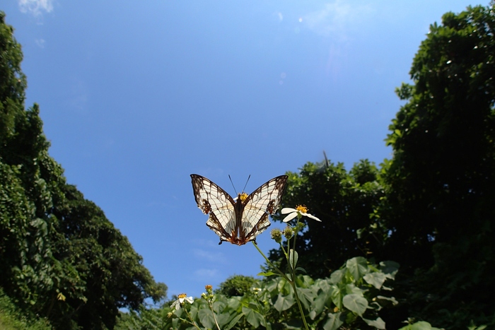 a0277496_14553880.jpg