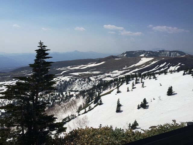 e0003097_2141575.jpg