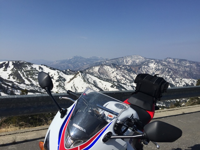 e0003097_2163450.jpg