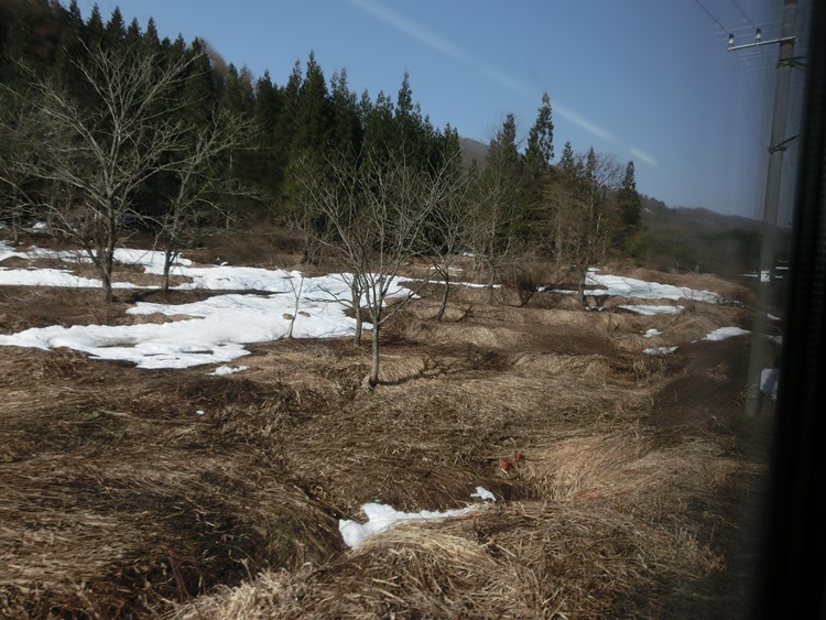 d0004301_2231376.jpg