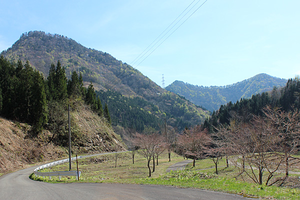 d0229501_19261937.jpg