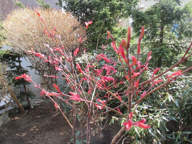 f0202703_5133750.jpg