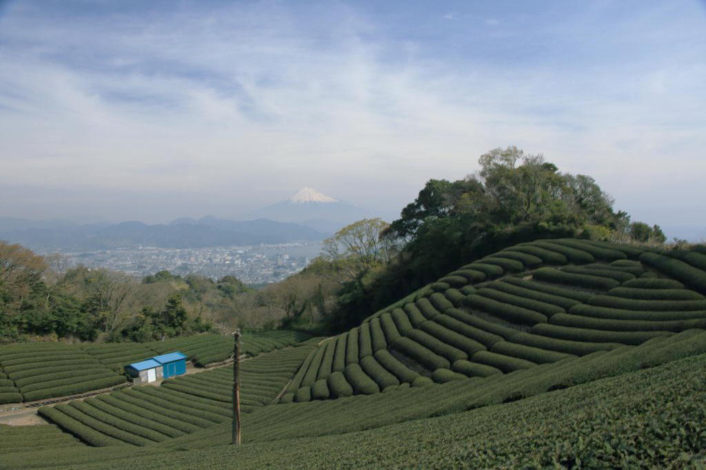 a0188405_08542983.jpg