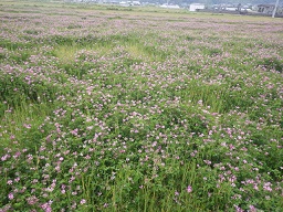 c0280206_836296.jpg