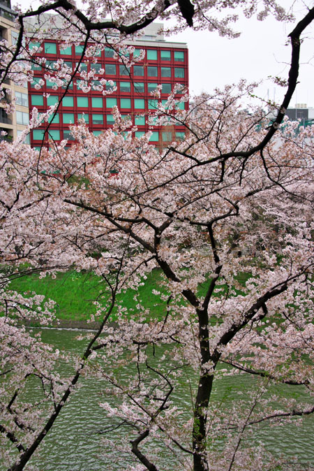 a0263109_11414073.jpg