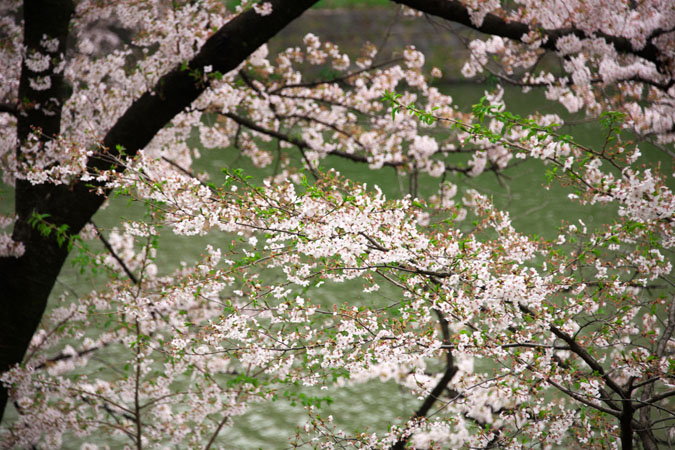 a0263109_11431373.jpg