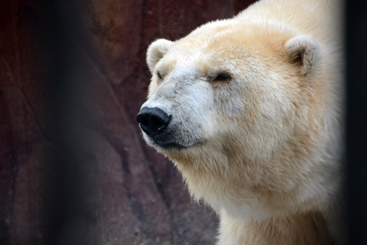 a0151913_2120637.jpg