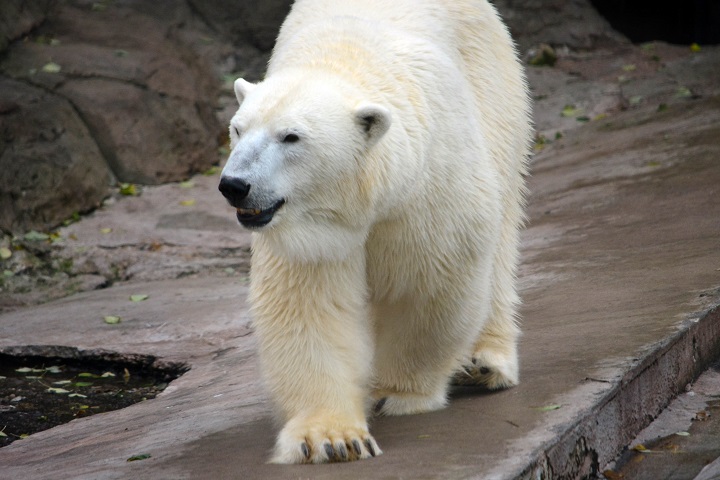 a0151913_6593983.jpg