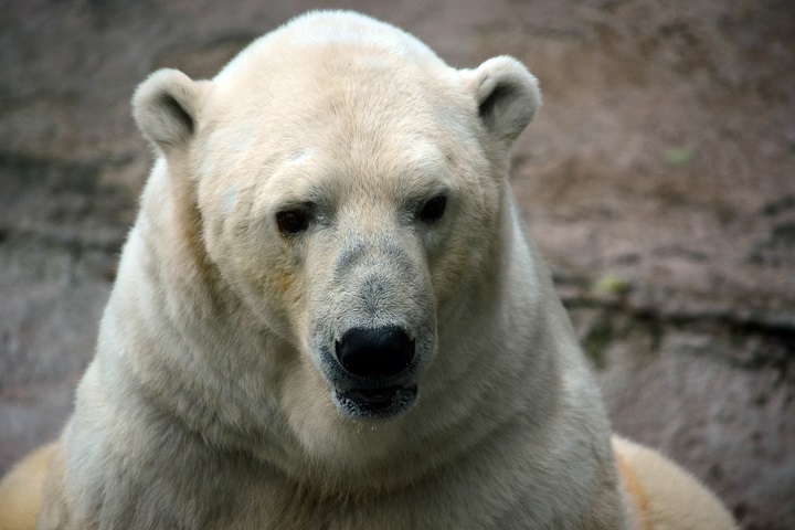 a0151913_6595287.jpg