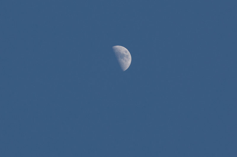 a0278914_18214512.jpg