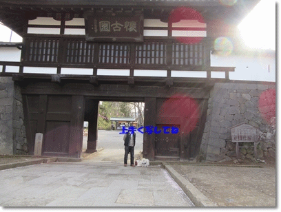 b0167519_15165231.gif