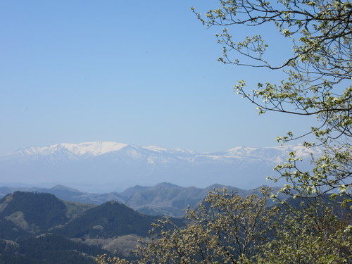 a0248728_21574419.jpg