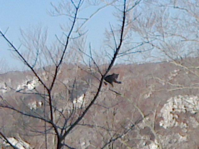e0016828_9402379.jpg